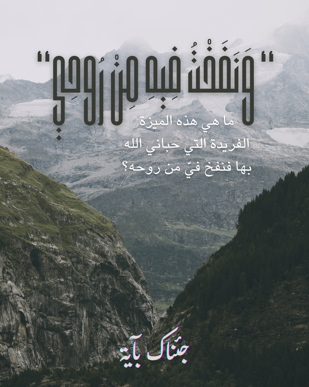 برنامج جئناك بآية مع د.داريا دغريري